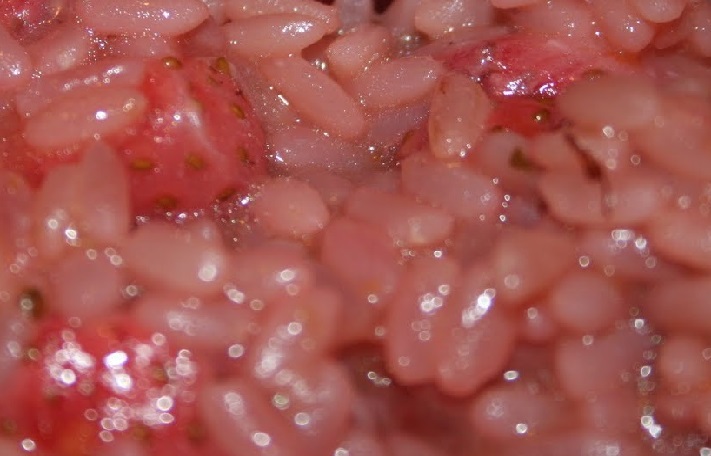 Risotto alle fragole